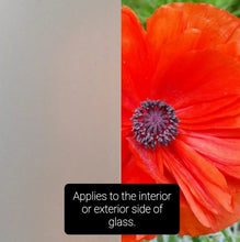 Load image into Gallery viewer, Frosted (Applies to Interior or Exterior, Does NOT Provide 1-Way Vision)